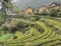 -杨家堂村