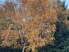 景点-长春市南湖公园