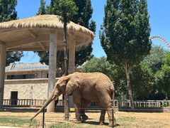 -石家庄市动物园