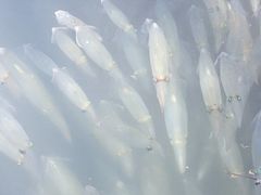 -海上驿站渔家菜馆