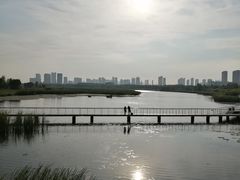 -哈尔滨大剧院