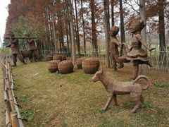 -上海长兴岛郊野公园