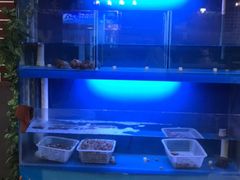 -食客烧烤(罗道庄店)