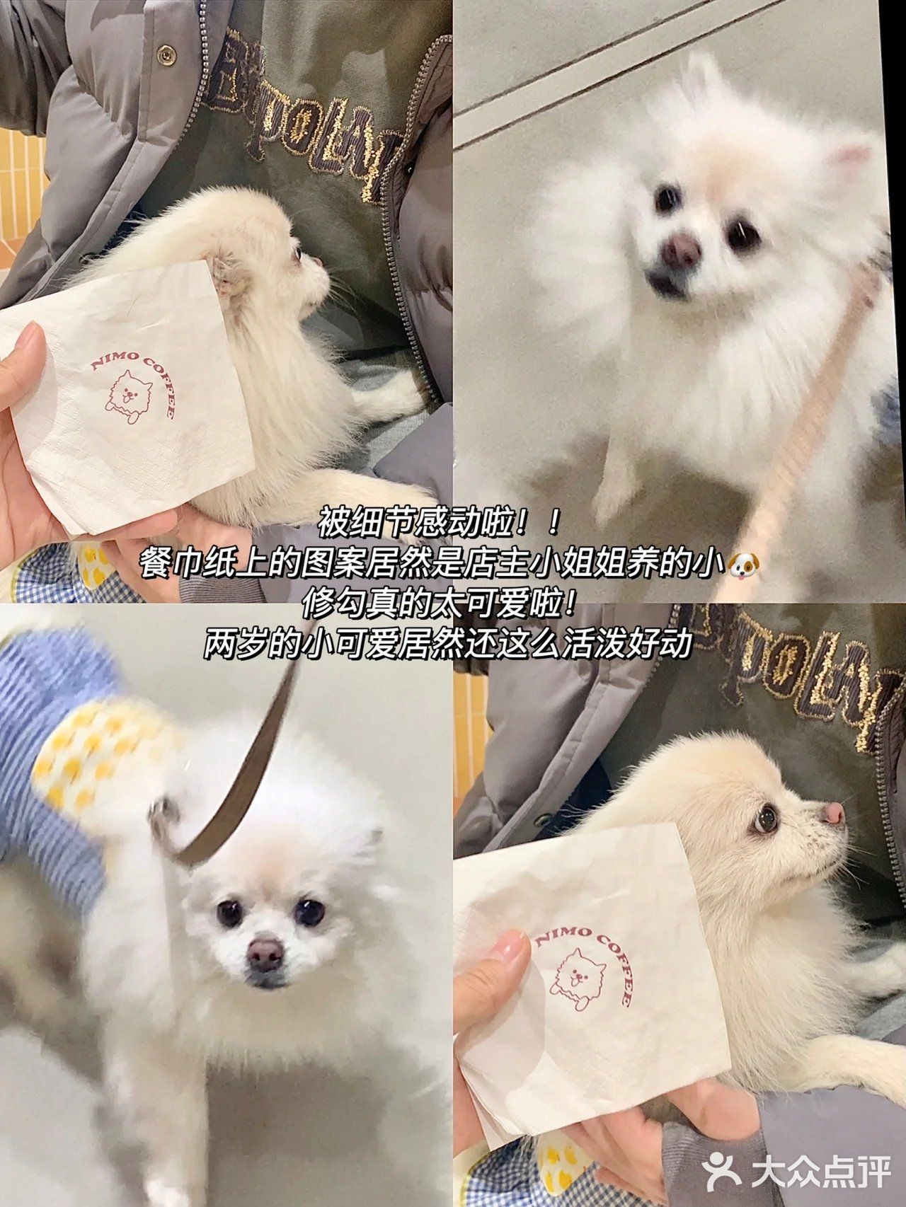 超隐蔽奶油系甜品店🍰奶呼呼的超治愈！！