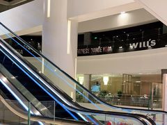 -威尔仕健身(虹桥南丰城店)