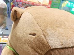 -乐乐姐超级土豆(中关村5号店)