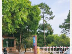 -广东惠东海龟国家级自然保护区