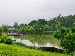 -沙美村