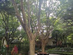 -华山儿童公园