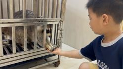 -Moni星球萌宠·小马宝莉·灵蛇·高端高阶全萌宠互动体验俱乐部(红豆国际广场店)