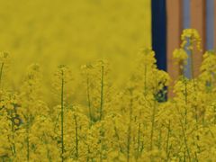 -中国天府农业博览园