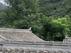 -鑫淼馫农家乐餐馆