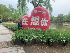 -上海鲜花港