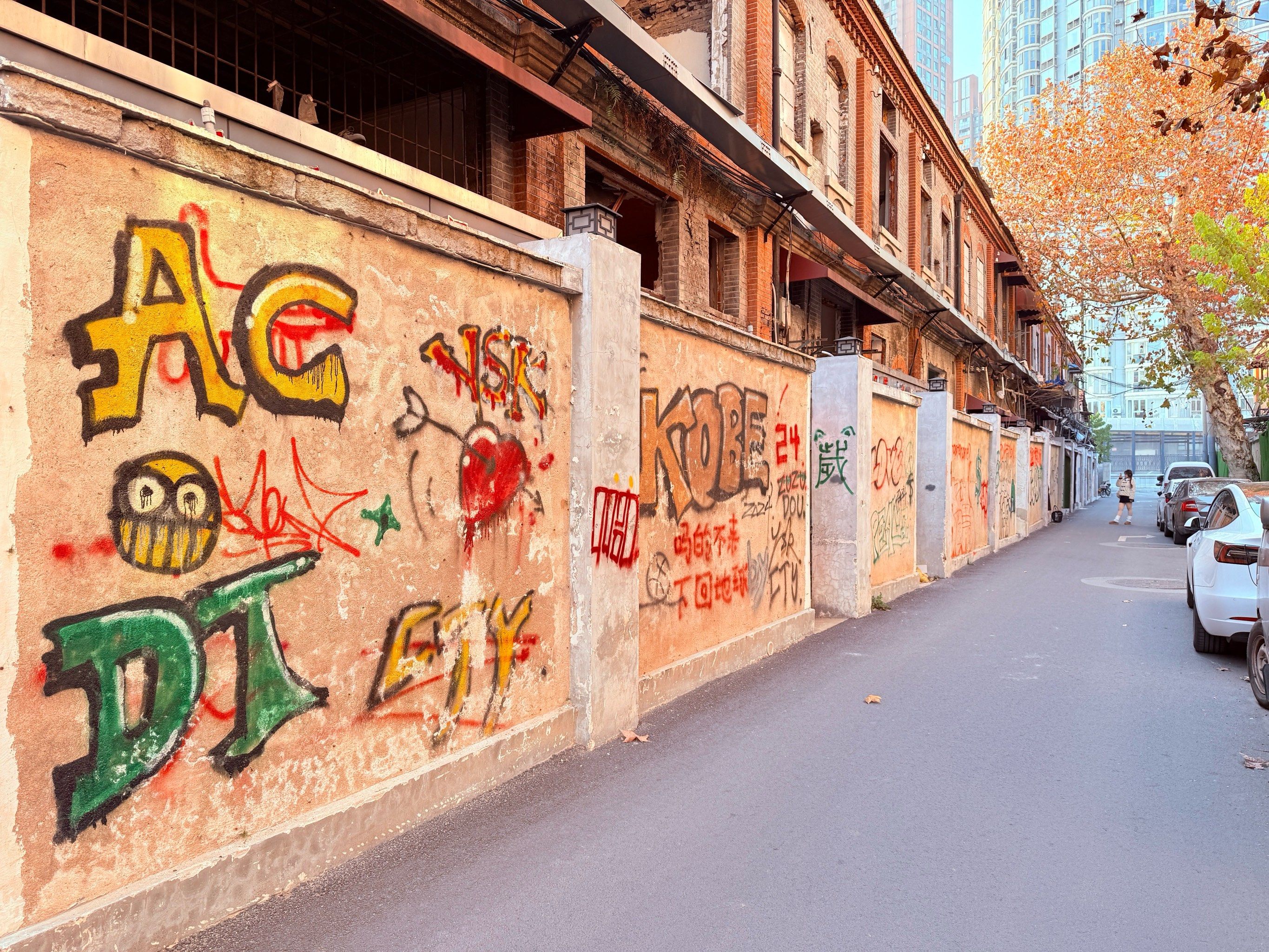 拆迁区域的围墙,因为比较隐蔽所以有很多涂鸦爱好者在这里画画🎨