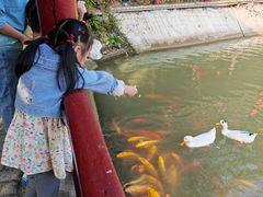 -武汉紫薇都市田园