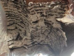 -巴黎贝甜(卫清西路店)