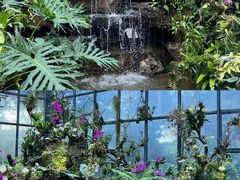 -东莞植物园