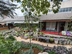 -山菌美食苑(振兴路店)