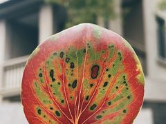 -颐和路民国时期公馆-风貌区