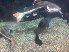 -太平洋海底世界