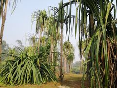 -华南国家植物园-售票处