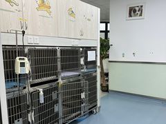 -美美宠物诊疗中心·异宠·骨科(滨江东信分院)