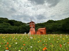 -苏州上方山国家森林公园