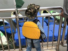 -上海都市菜园