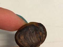 -金栗王(清扬路店)