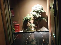 -江南足纪·影院足道·轻奢SPA(京基水贝店)