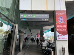 -国际邮轮中心码头(厦鼓码头)