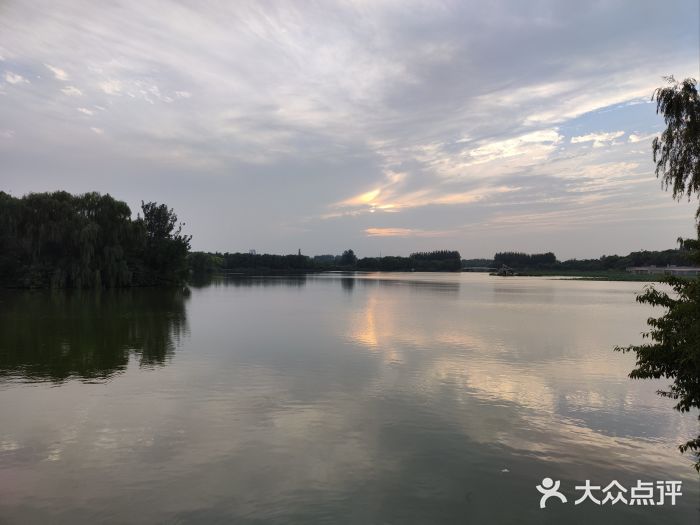 大兴滨河森林公园图片