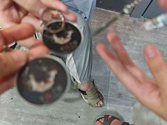 -狂想局密室逃脱(宝山万达店)