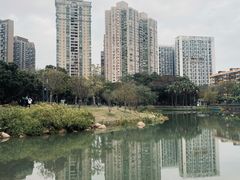 -四海公园(南山区)