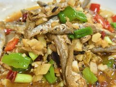 -国生茶庄·地道农家菜团建活动