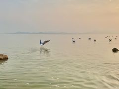-深圳湾公园(南山区)