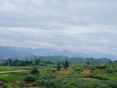 -乌石村