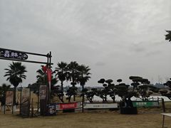 -空港花田景区