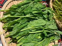 -火塘云南烧烤大排档