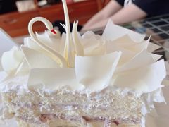 天使之爱-BLACKSWAN黑天鹅(环球店)