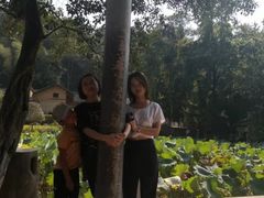 -韶山毛泽东同志故居