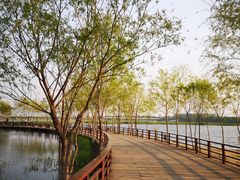 -绿堤公园