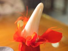 -洪记白水羊头(天坛店)