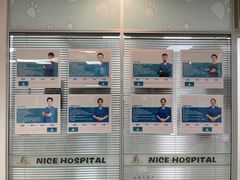 -奈斯宠物医院·核磁CT·异宠专科·内镜(中南店)