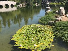 -汉庭顿图书馆