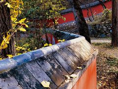 -阳台山自然风景区