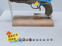 -太平天国侍王府