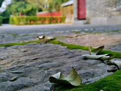 -洛阳周公庙博物馆