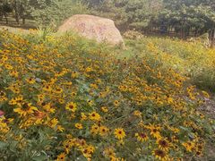 -长春公园(普阳街道)