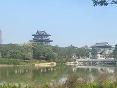-海珠湖公园